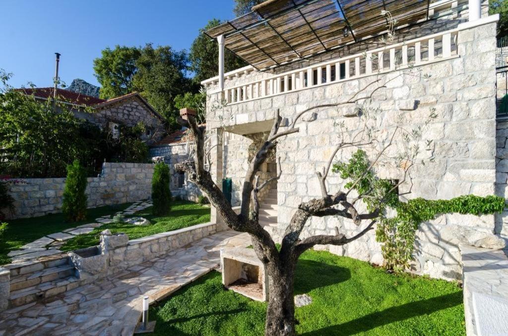 Villa Falcon Rook Gruda Extérieur photo